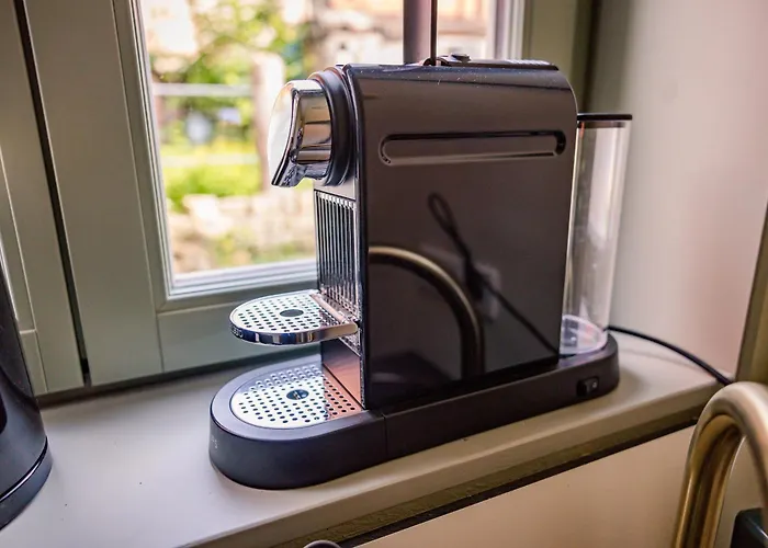 Unter Den Weiden, * Halberstadt